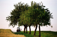 Zelenější společná zemědělská politika pomůže českému venkovu