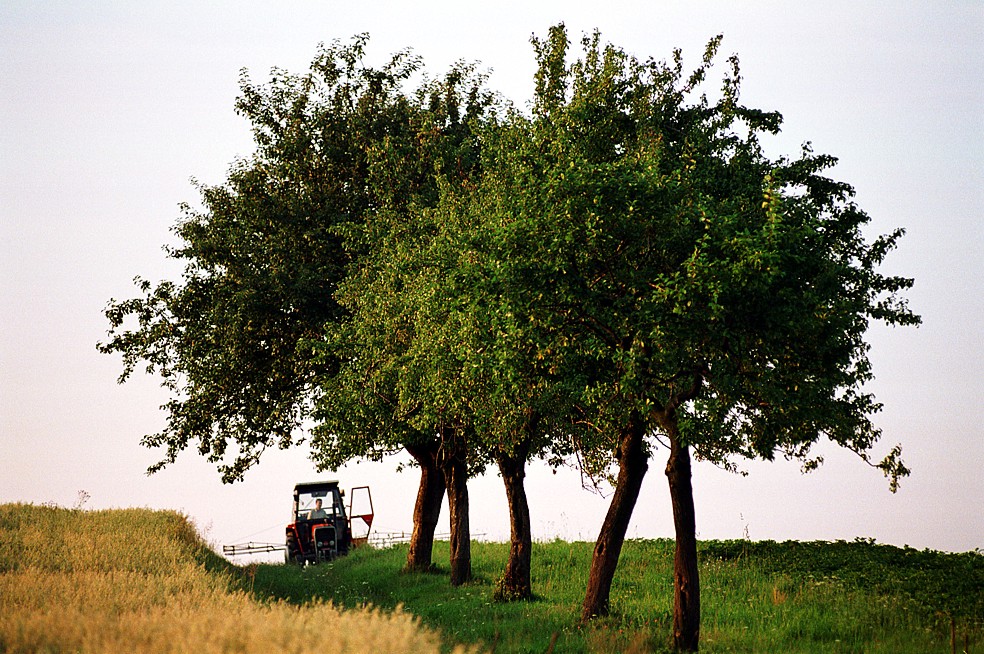 Zelenější společná zemědělská politika pomůže českému venkovu